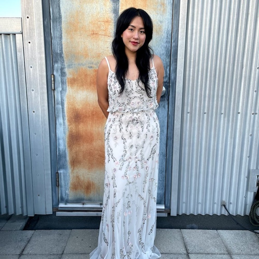 BHLDN Adrianna Papell Embellished Dress